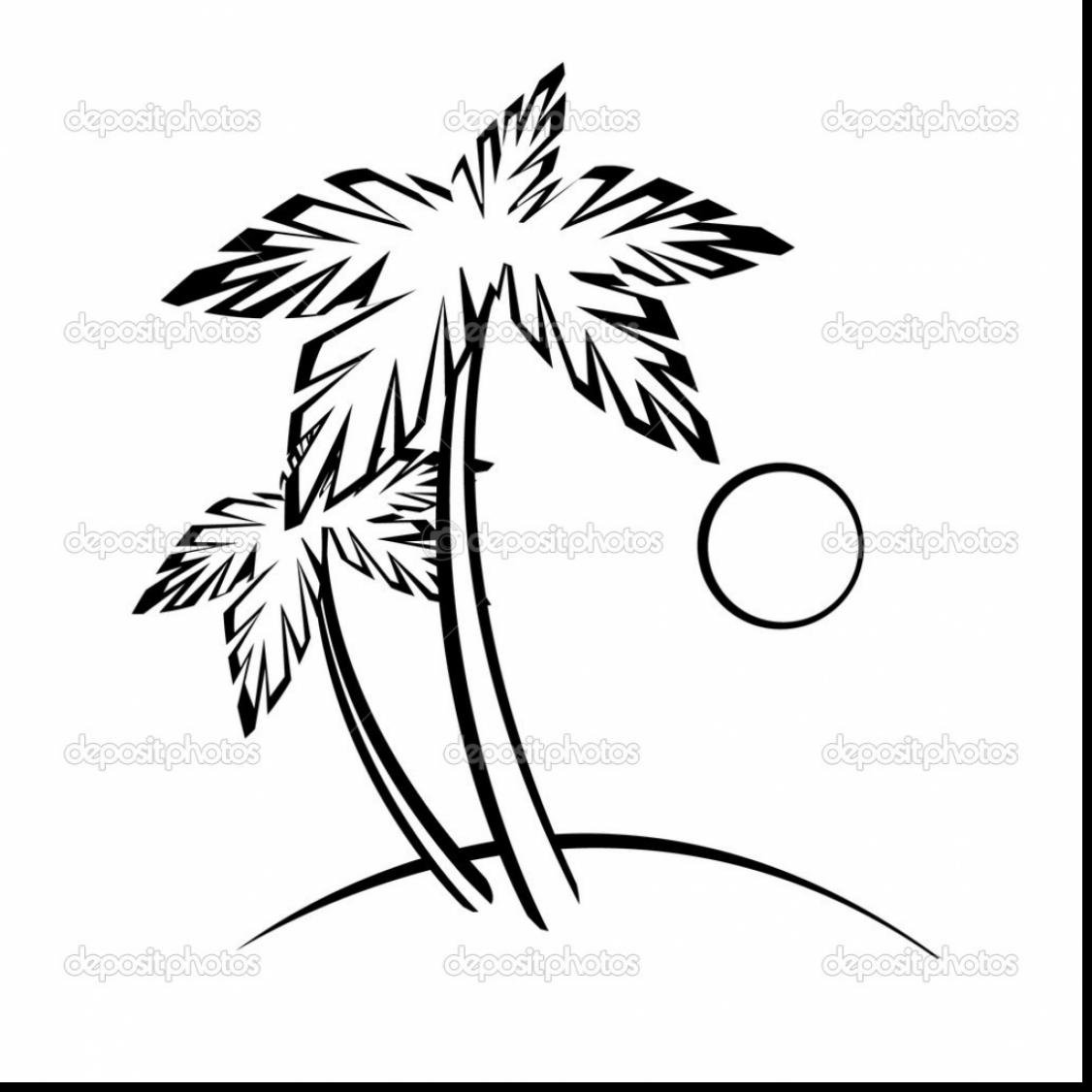 1126x1126 Astounding Palm Tree Beach Outline Drawing With Palm Tree Coloring