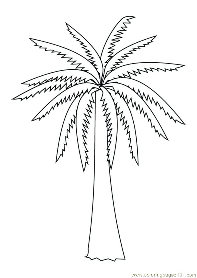 650x918 Coloring Pages Of Trees Tree Without Leaves Coloring Page Tree
