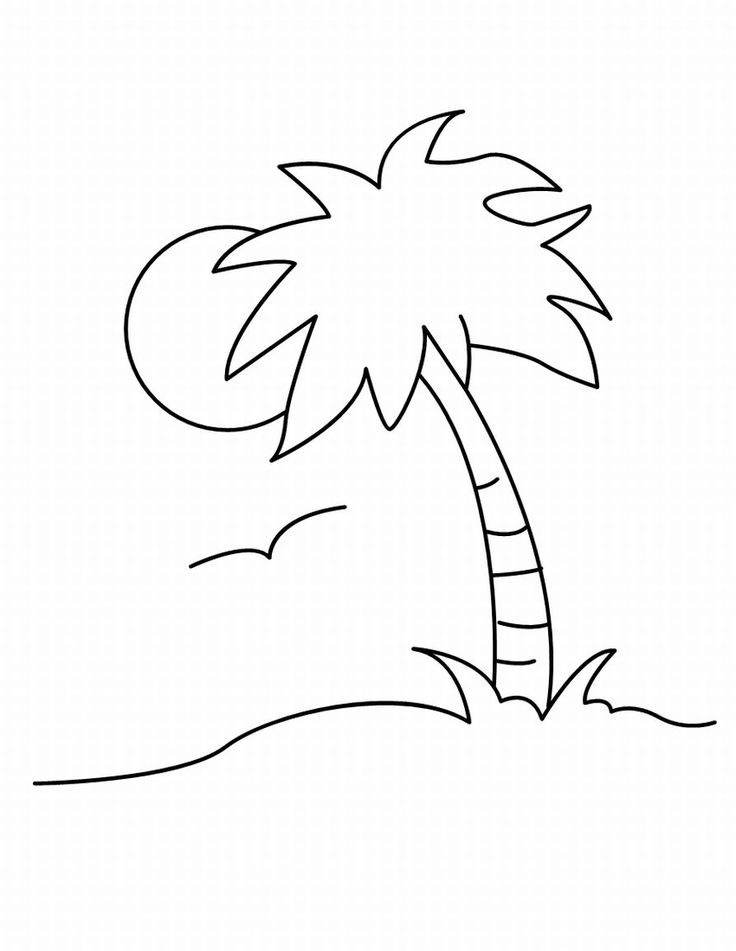 736x951 Drawn Palm Tree Craft