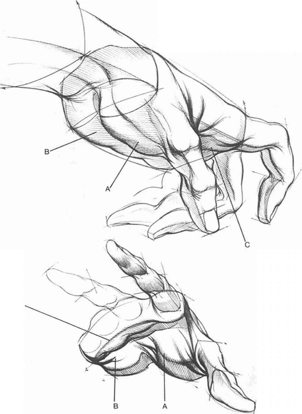 969x1330 Forms And Structures