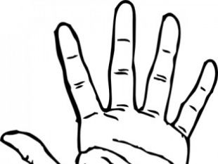 310x233 Hand Palm Vector Free Vectors Ui Download