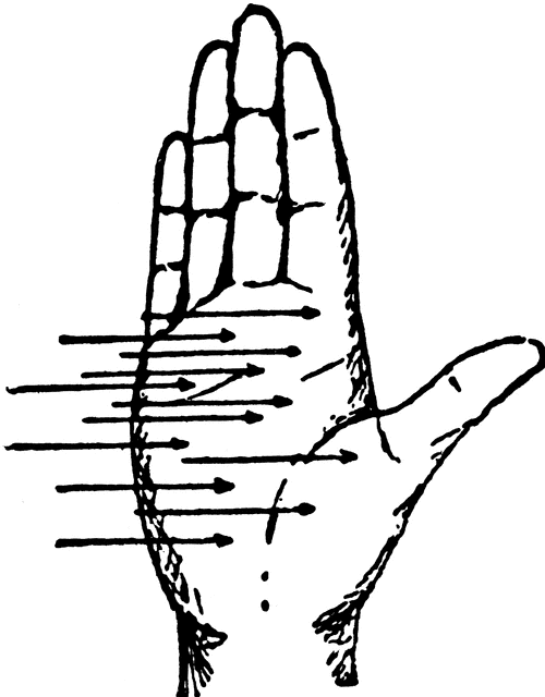 500x640 Right Hand Rule, Palm Clipart Etc
