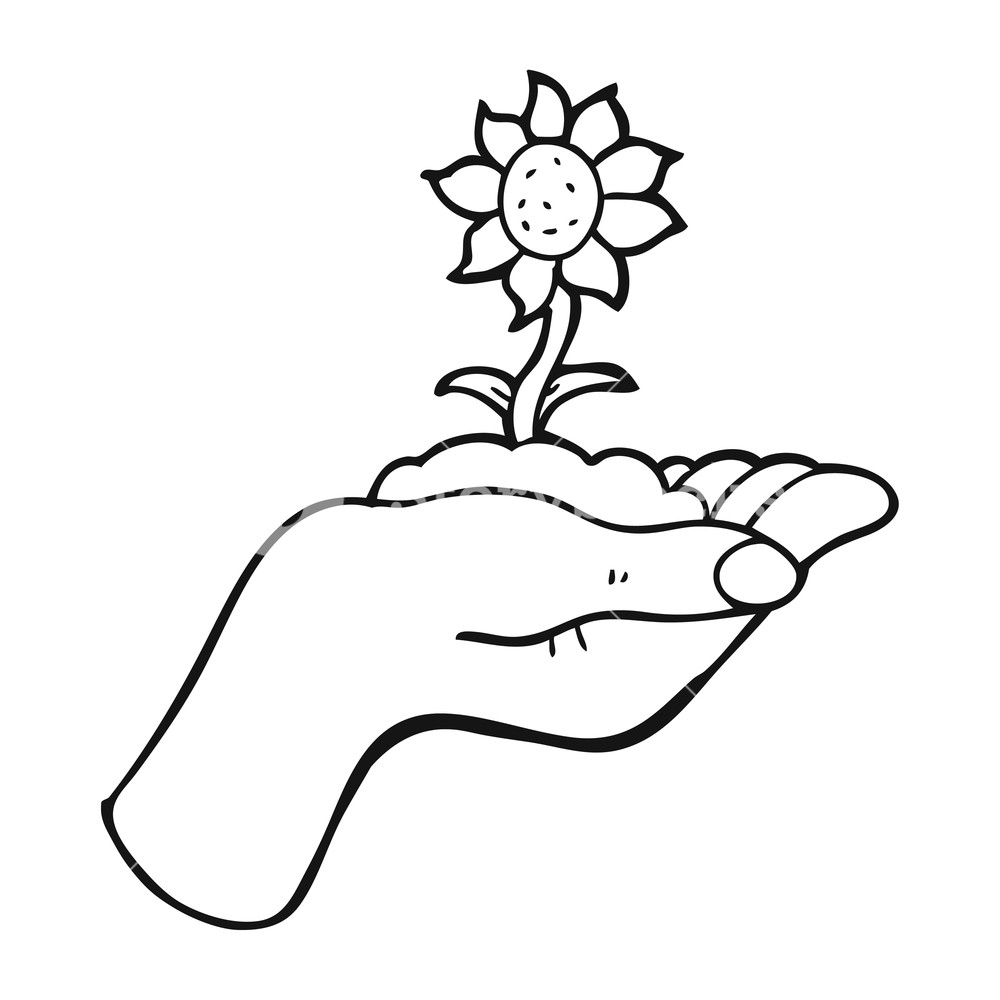 1000x1000 Freehand Drawn Black And White Cartoon Flower Growing In Palm
