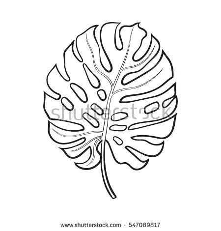 450x470 Drawn Jungle Jungle Foliage