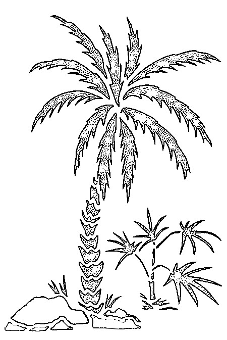 450x673 Coloring Page Beach Palm Trees 3