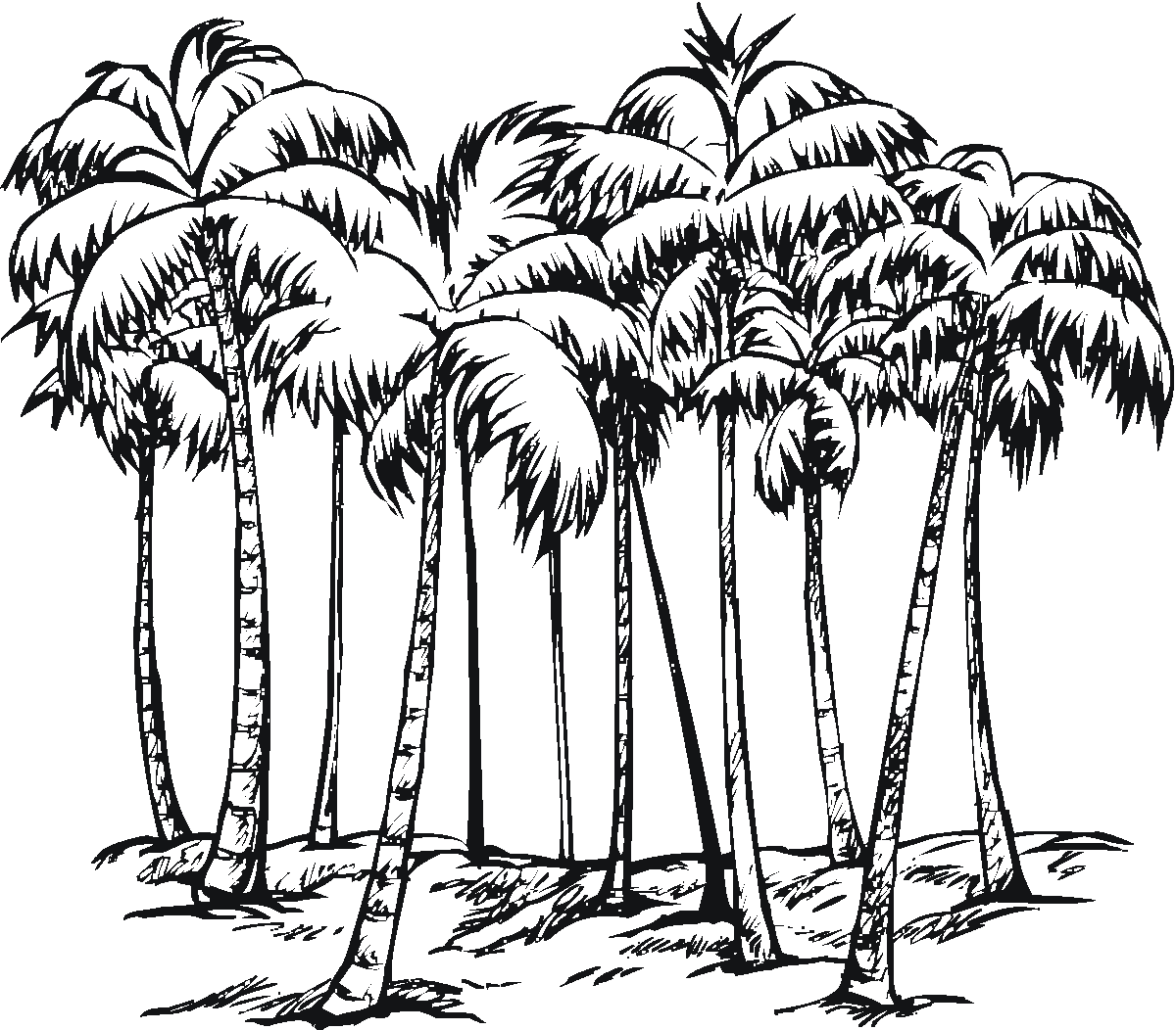 1200x1052 Odd Palm Tree Coloring Page Adult Pages Of Trees And The Beach