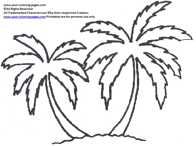 654x488 Palm Tree Coloring Pages