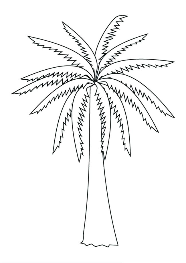 650x918 Palm Tree Coloring Pages 86 Packed With Palm Tree Coloring Pages
