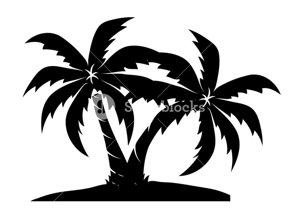 1000x734 Palm Trees At Beach Drawing Royalty Free Stock Image