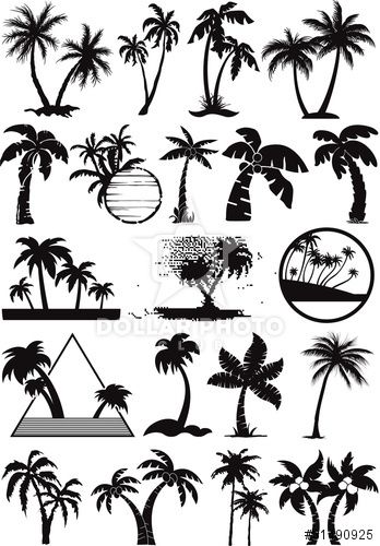 348x500 Palm And Coconut Trees Vector Silhouette