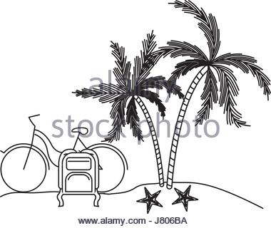 380x320 Palm Trees Next To Water Stock Photo, Royalty Free Image 12746926