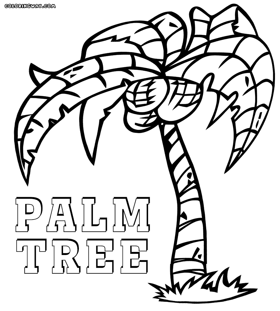 898x1000 Palm Tree Coloring Pages Coloring Pages To Download And Print