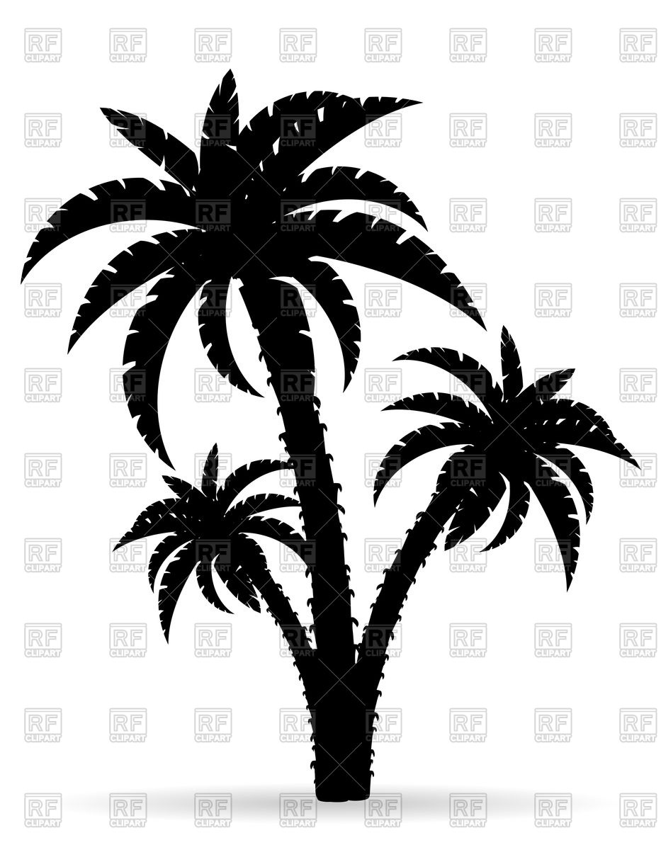 933x1200 Cartoon Palm Tree Black Outline Silhouette Royalty Free Vector