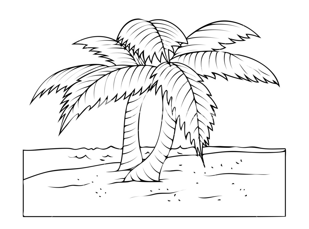 Palm Tree Drawing at GetDrawings | Free download