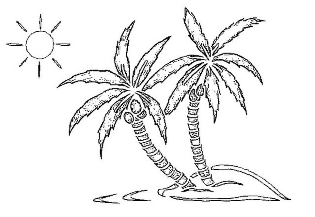640x441 Swaying Palm Tree Coloring Page