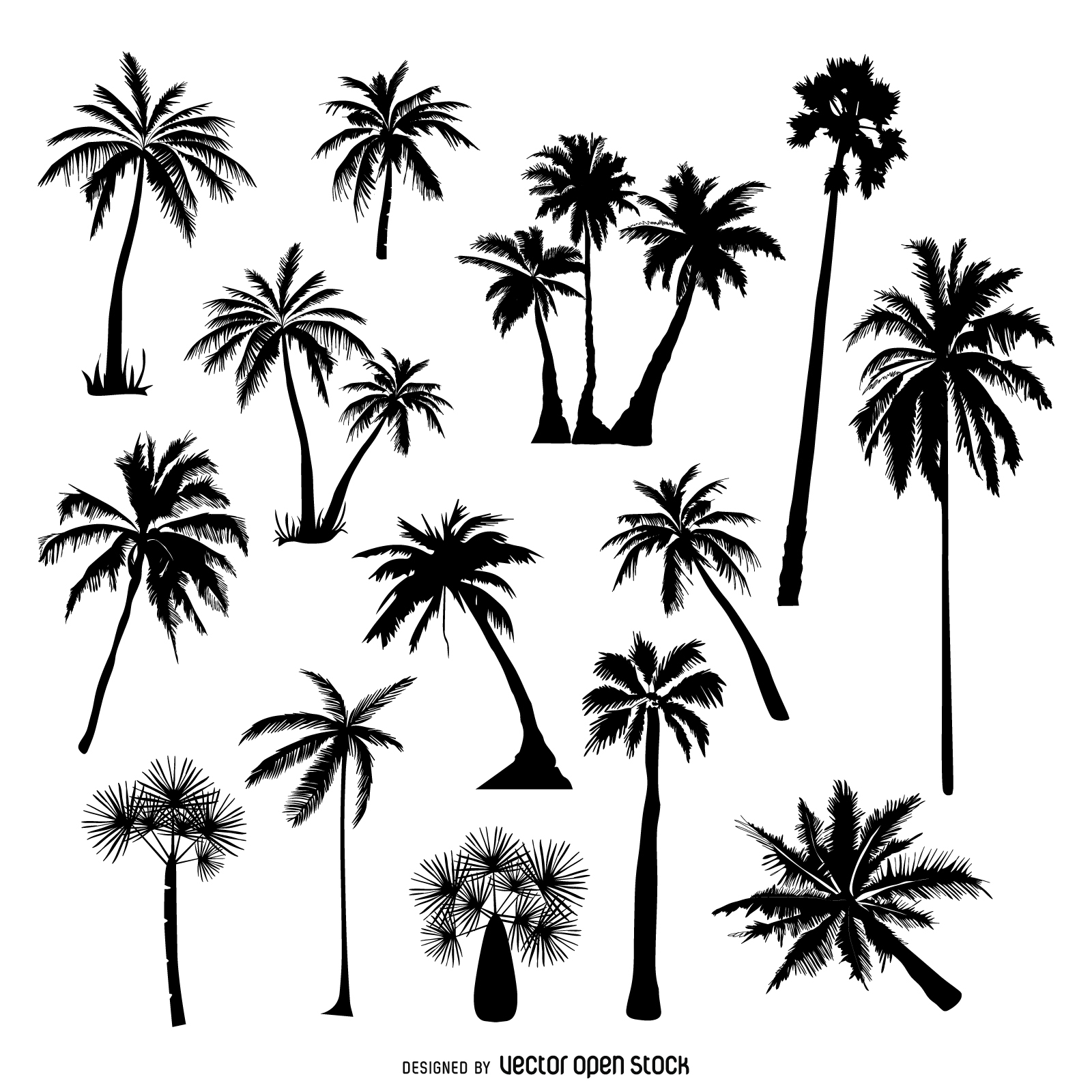 1600x1600 Collection Of Palm Tree Silhouettes