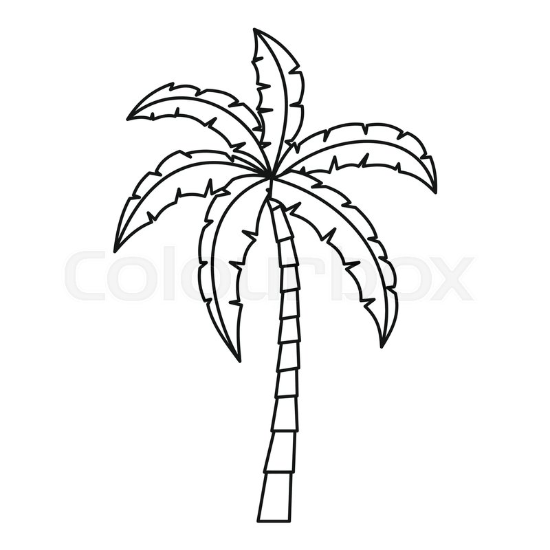 800x800 Palm Icon. Outline Illustration Of Palm Vector Icon For Web