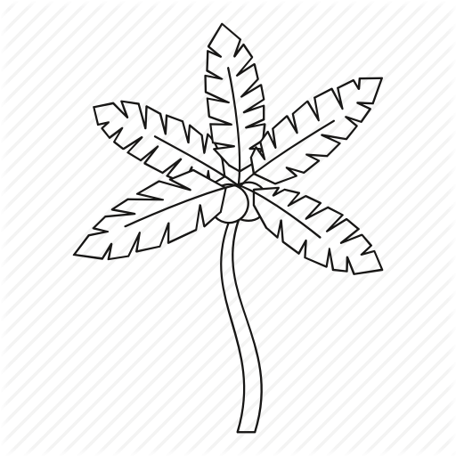 512x512 Beach, Coconuts, Line, Outline, Palm, Summer, Tree Icon Icon