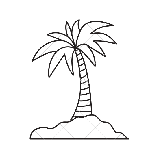 550x550 Island Palm Tree