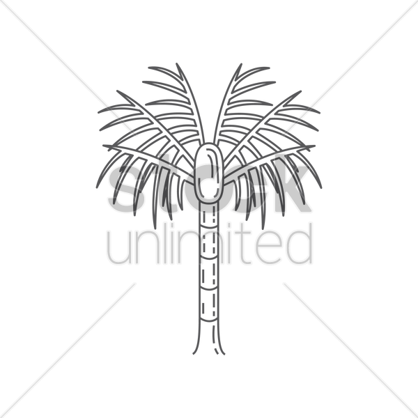 600x600 Nikau Palm Tree Vector Image