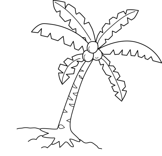 550x530 Palm Tree Coconut Clipart