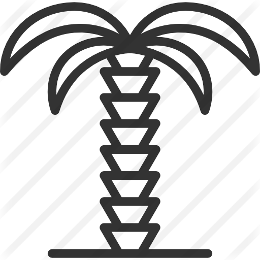 512x512 Palm Tree