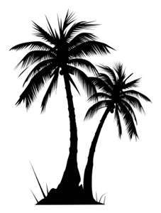227x300 Two Palm Trees Png Clipart Image Summer Clip
