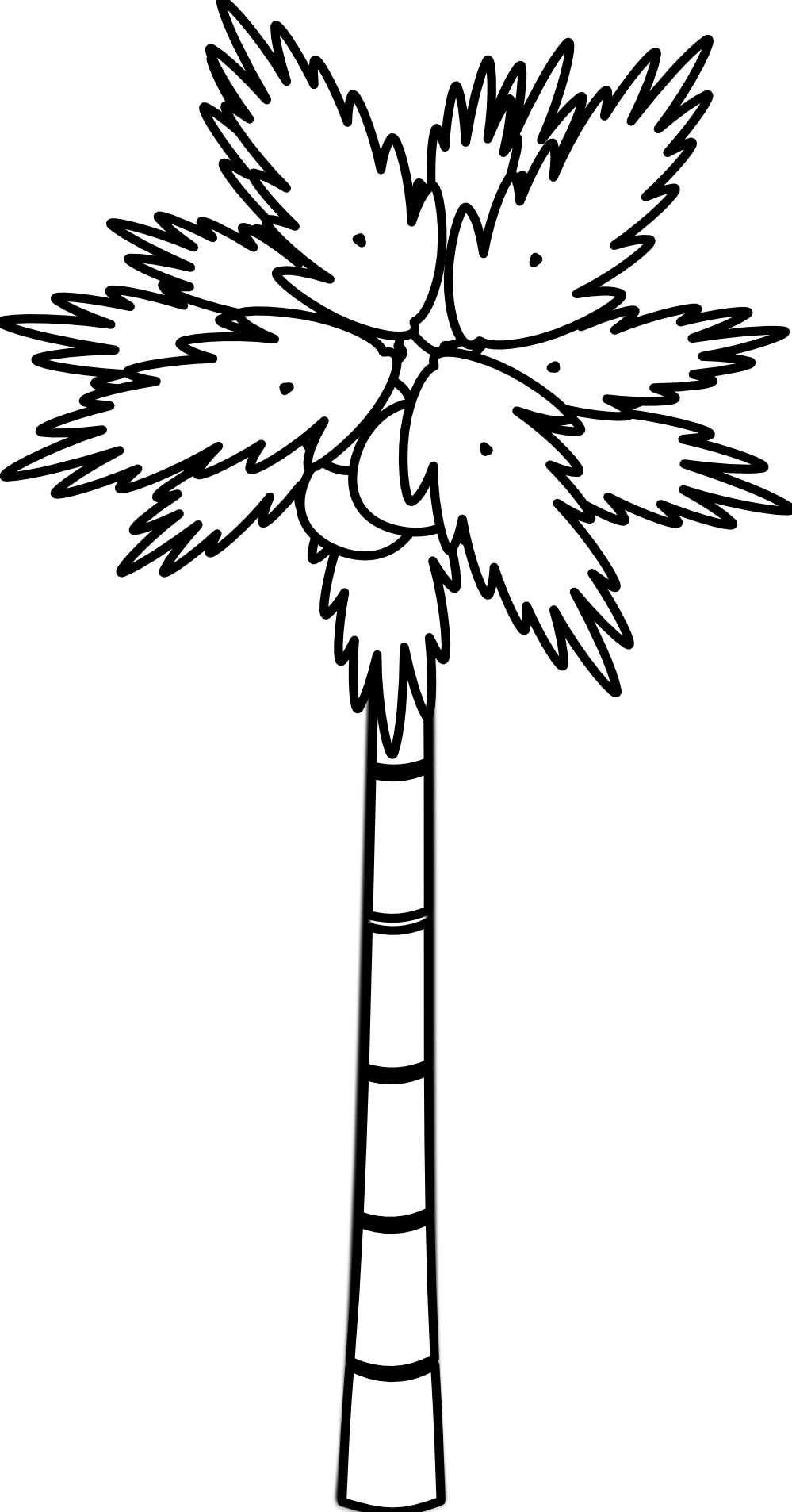 999x1906 Black And White Palm Tree Drawing Tamanggoang
