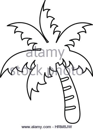 300x420 Palm Tree Icon. Simple Flat Illustration. Vector Icon. Black