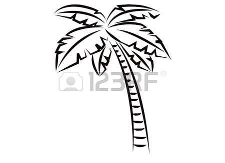 450x327 Coconut Tree For Black And White Image On A White Background Stock
