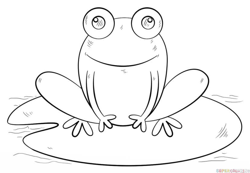 828x575 Drawn Frog How To Draw A Frog