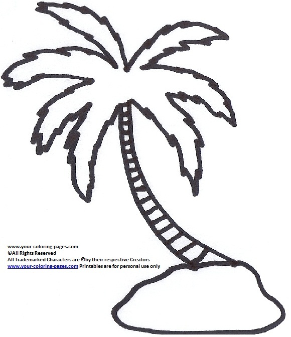 580x672 Coloring Pages Of Palm Trees