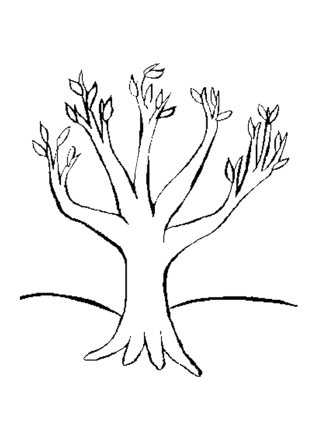 650x900 Coloring Pages Tree