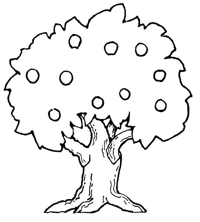 700x777 Coloring Pages Tree Leaf Fall Tree Coloring Pages Trees Latest