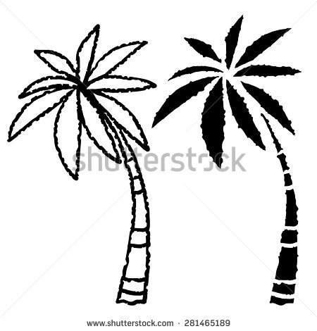 450x470 Drawn Palm Tree Line Drawing
