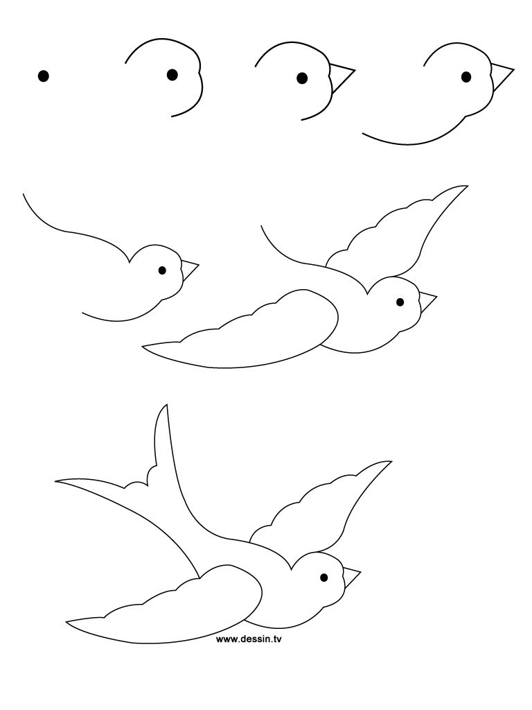 768x1024 How To Draw A Bird Step By Step Easy With Pictures Swallows