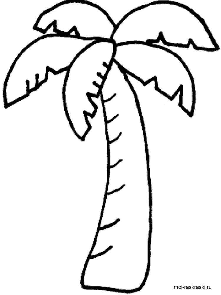 750x1000 Stunning Palm Tree Coloring Page 96 For Your Free Colouring Pages