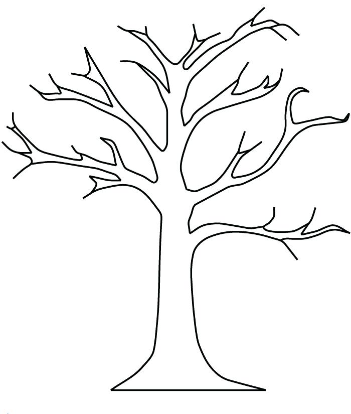 700x825 Coloring Pages Of Trees Plus Free Coloring Pages For Tree Coloring