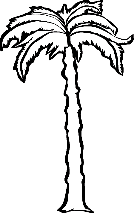 449x709 Coloring Palm Tree Picture