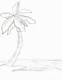 236x304 Drawn Palm Tree Sketch