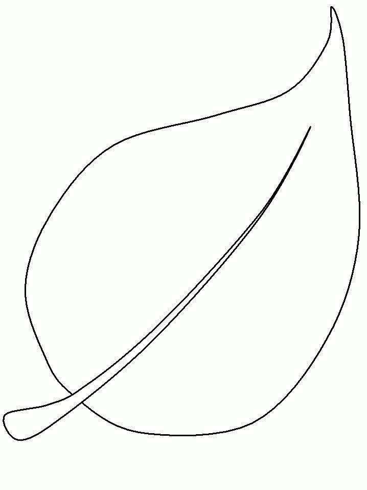 Palm Tree Leaf Drawing at GetDrawings | Free download