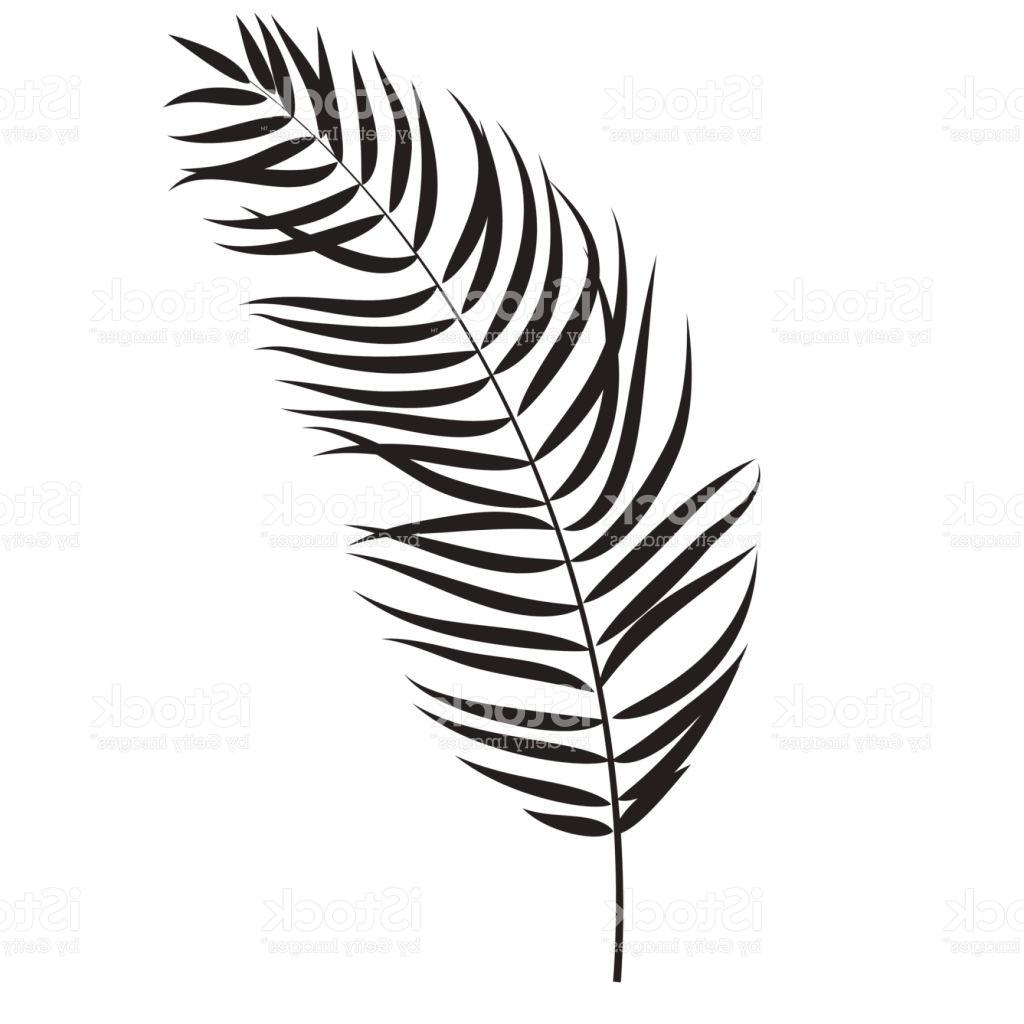 1024x1024 Top Beautifil Palm Tree Leaf Silhouette Background Vector Illustra