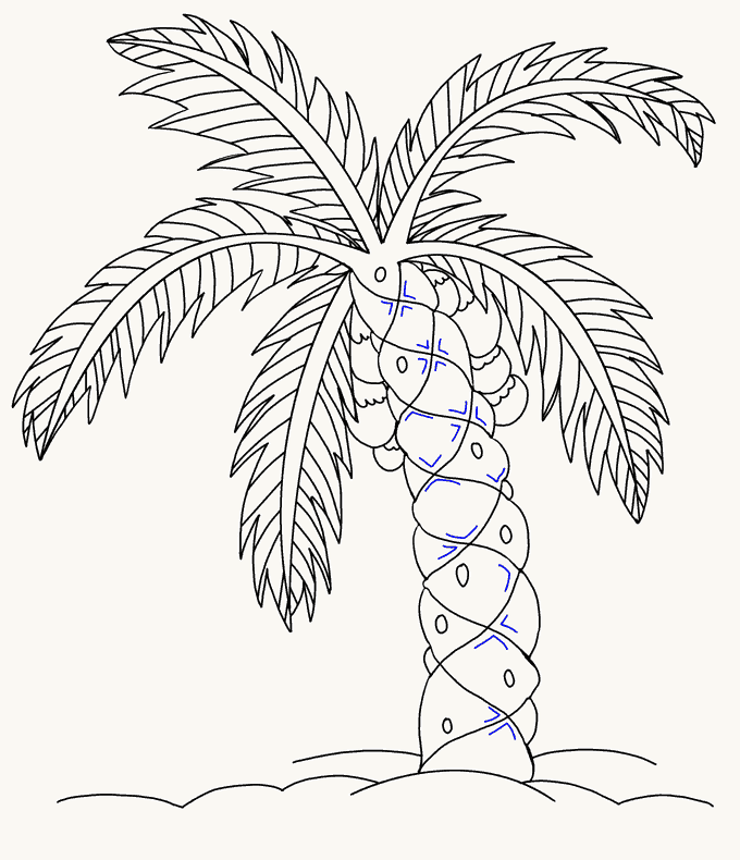 680x790 How To Draw A Palm Tree Easy Drawing Guides