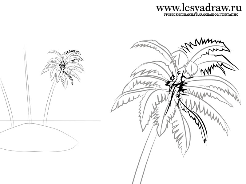 800x600 How To Draw A Palm Tree On The Island