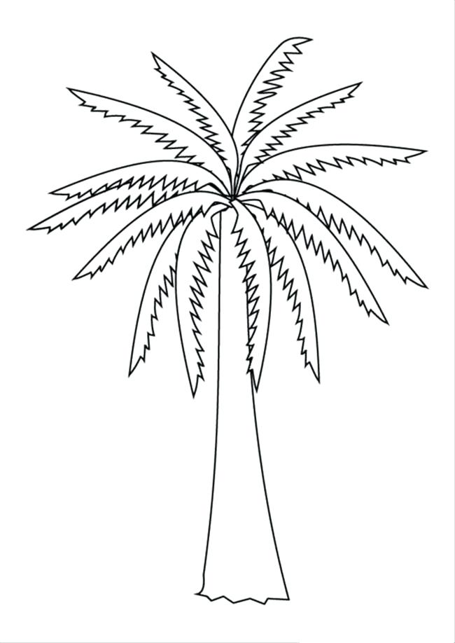 650x918 Palm Tree Coloring Pages Palm Tree More Coloring Pages Palm Tree