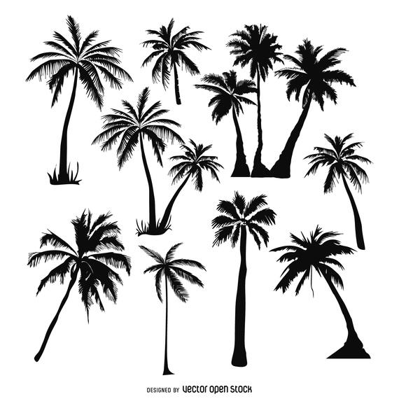 570x570 Palm Trees Silhouettes Set