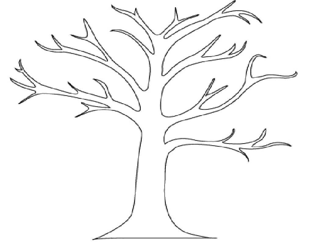 1013x825 Perfect Outline Of Trees 13