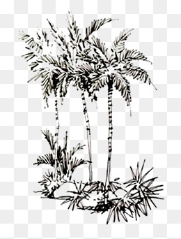 260x342 Drawing The Line, Drawing, Line, Needle Bar Png Image For Free