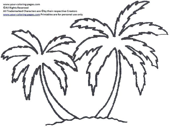654x488 Palm Tree Coloring Page Coloring Palm Tree Coloring Pages On Palm