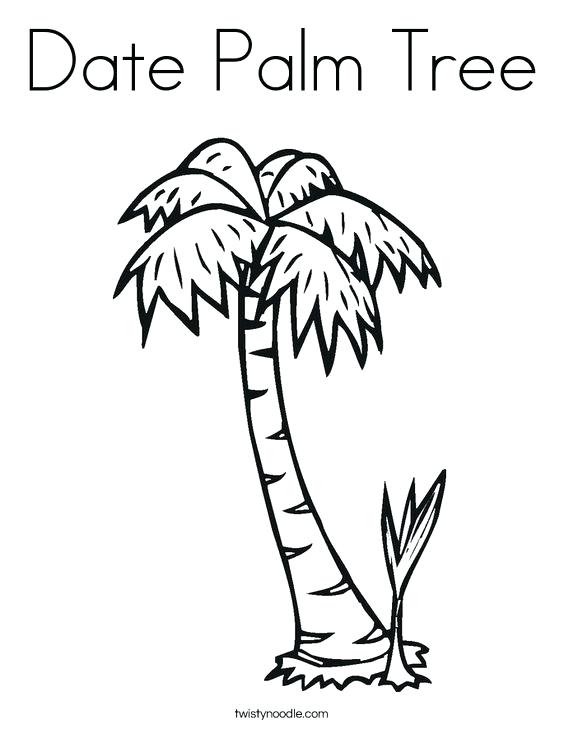 564x729 Palm Tree Coloring Pages Plus Pin Drawn Beach Palm Tree Free